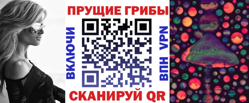 Купить  Николаевск-на-Амуре  Галлюциногенные грибы ЛСД 